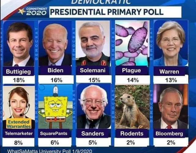 Meme Shows Democratic Primary Poll With Bloomberg Tied With Rodents, Trailing Solemani