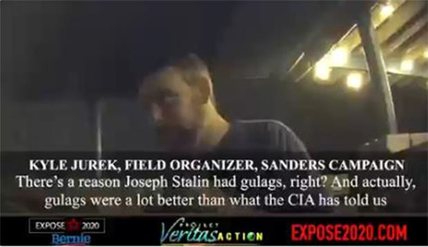 Undercover Video Shows Bernie Staffer Compare ‘Free Education’ To Gulag Reeducation Camps