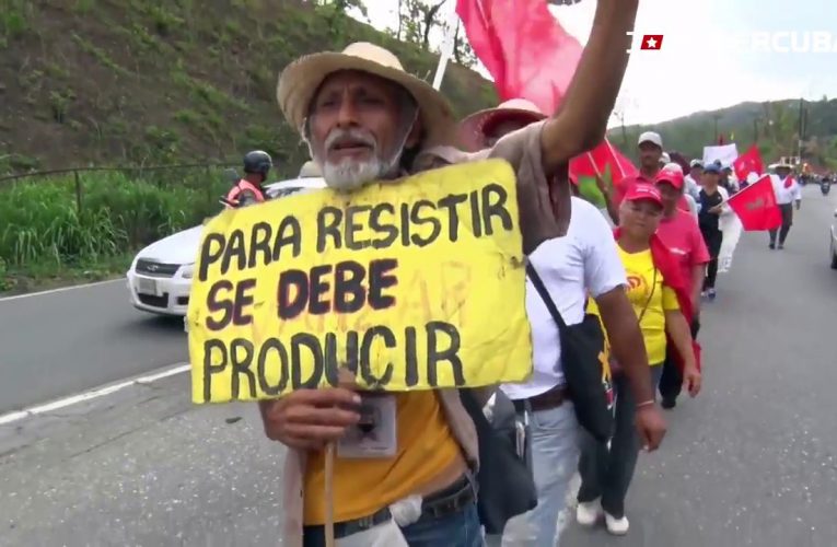 Venezuela confiscated farms  to create equality. Guess what happened next