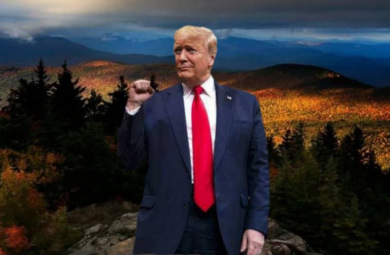 President Trump Smashed Obama’s NH Incumbent Primary Votes By Over 70,000