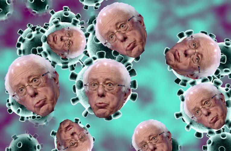 Bernie Wants To  Open Borders For Coronavirus