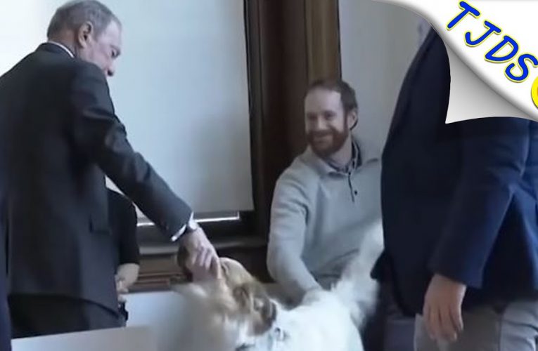Weird Bloomberg Grabs Dog’s Face Instead Of Petting Him