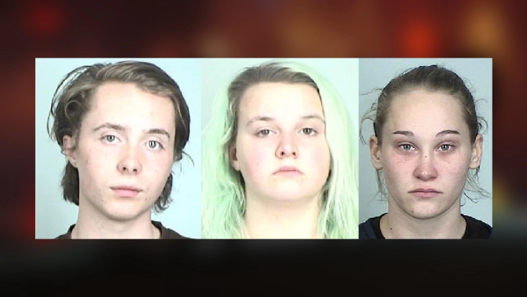 3 BLM terrorists Charged By DOJ With Arson In Minnesota