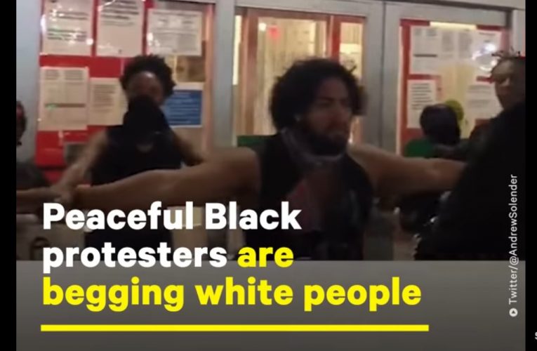Black Protesters Beg White Privileged Liberal rioters To Stop Destroying Property