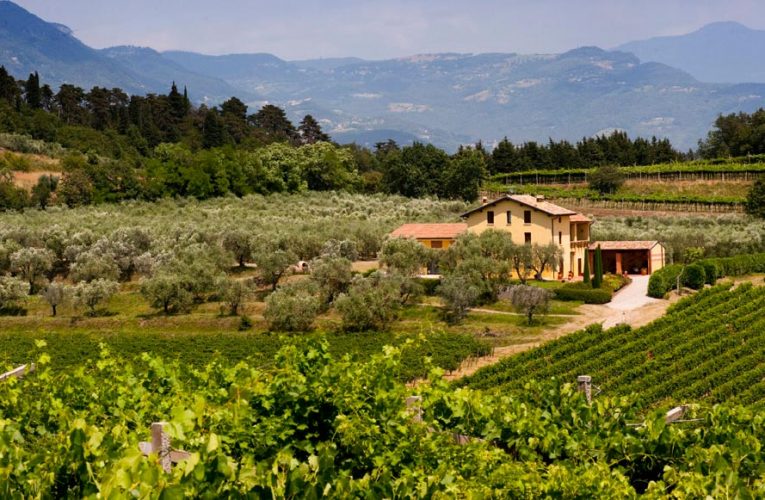The Truth About $1 Italian Farm Villas