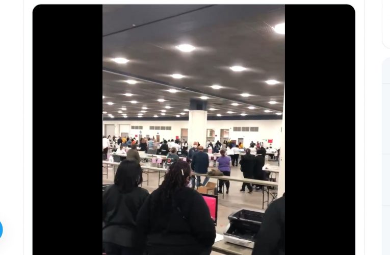 Dems Cheer As GOP Observers Forcibly Removed From Detroit Ballot Center