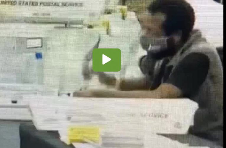 Atlanta Ballot Counter Caught On Video Destroying Ballot, Wigging Out