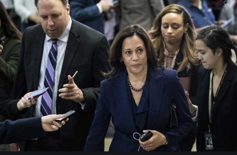 Kamala Harris Vows To Re-Arm Syrian Rebels If Biden Takes Office